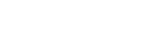 logo autoface антигравийная пленка
